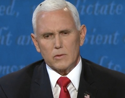Pence did not know about fly during VP debate | Pence did not know about fly during VP debate