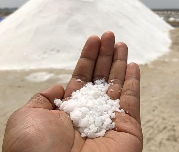 TN to increase salt production | TN to increase salt production