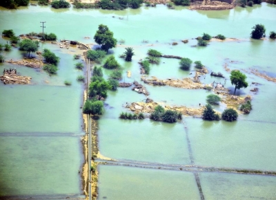 Climate change likely increased heavy rain that led to Pakistan flooding: Study | Climate change likely increased heavy rain that led to Pakistan flooding: Study