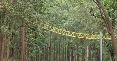 Uttarakhand has a bridge for reptiles, animals | Uttarakhand has a bridge for reptiles, animals