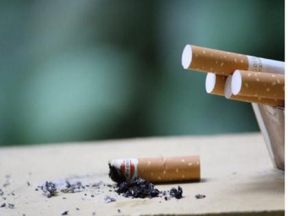 WHO raises alarm on tobacco industry environmental impact, human health | WHO raises alarm on tobacco industry environmental impact, human health