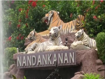 Odisha: Nandankanan Zoo reopens for visitors after three months | Odisha: Nandankanan Zoo reopens for visitors after three months