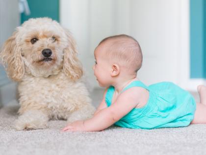 Maternal exposure to air pollution may spur rise in smaller babies: Study | Maternal exposure to air pollution may spur rise in smaller babies: Study Maternal exposure to air pollution may spur rise in smaller babies: Study | Maternal exposure to air pollution may spur rise in smaller babies: Study