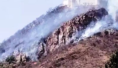 Forest fire in Sajjangarh's Udaipur brought under control | Forest fire in Sajjangarh's Udaipur brought under control