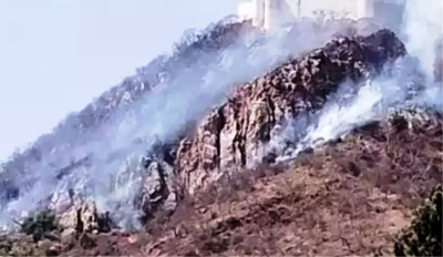 Forest fire in Sajjangarh's Udaipur brought under control | Forest fire in Sajjangarh's Udaipur brought under control Forest fire in Sajjangarh's Udaipur brought under control | Forest fire in Sajjangarh's Udaipur brought under control