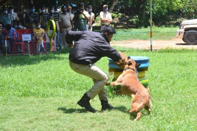 Karnataka Police to induct 50 dogs at Rs 2.5 cr | Karnataka Police to induct 50 dogs at Rs 2.5 cr Karnataka Police to induct 50 dogs at Rs 2.5 cr | Karnataka Police to induct 50 dogs at Rs 2.5 cr