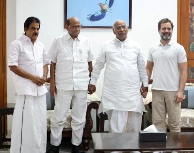 We are united, says Rahul after meeting Pawar | We are united, says Rahul after meeting Pawar