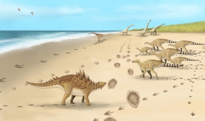 Footprints of last dinosaurs walked 110M years ago in UK found | Footprints of last dinosaurs walked 110M years ago in UK found