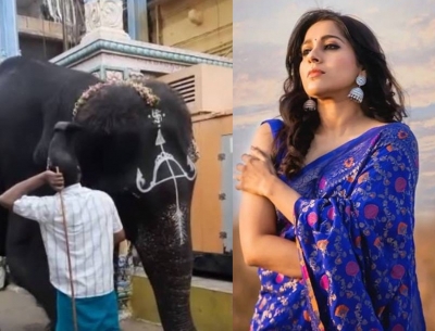 Actress Rashmi Gautam urges people to say no to animal rides, captivity | Actress Rashmi Gautam urges people to say no to animal rides, captivity