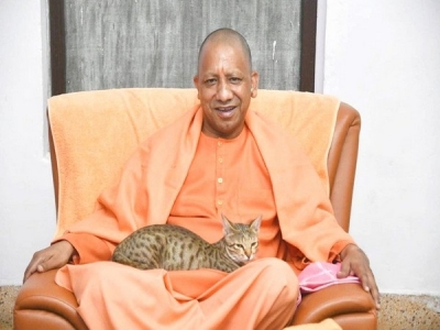 Yogi's love for animals makes him a social media favourite | Yogi's love for animals makes him a social media favourite Yogi's love for animals makes him a social media favourite | Yogi's love for animals makes him a social media favourite