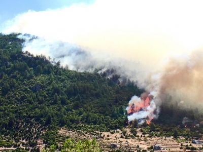 Wildfire engulfs power plant in Turkey, prompts evacuation | Wildfire engulfs power plant in Turkey, prompts evacuation