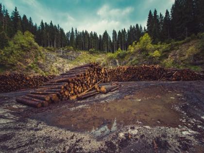 Scientists detail how deforestation drives climate change | Scientists detail how deforestation drives climate change