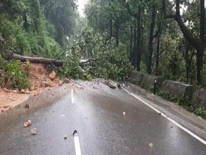 Uttarakhand: Rajpur to Mussoorie road blocked by uprooted trees following heavy rainfall | Uttarakhand: Rajpur to Mussoorie road blocked by uprooted trees following heavy rainfall Uttarakhand: Rajpur to Mussoorie road blocked by uprooted trees following heavy rainfall | Uttarakhand: Rajpur to Mussoorie road blocked by uprooted trees following heavy rainfall