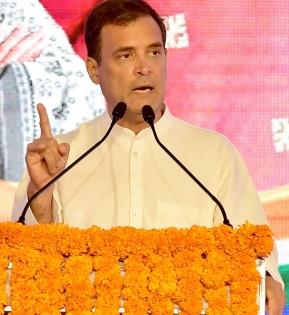 Citing WHO report, Rahul says govt hiding data on Covid deaths | Citing WHO report, Rahul says govt hiding data on Covid deaths
