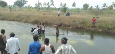 Bus falls into MP canal, many feared dead | Bus falls into MP canal, many feared dead
