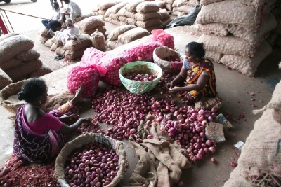RS MP calls for discussion on rising onion, pulses prices | RS MP calls for discussion on rising onion, pulses prices