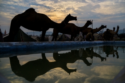 Despite high debts, Rajasthan hopes for silver lining soon | Despite high debts, Rajasthan hopes for silver lining soon Despite high debts, Rajasthan hopes for silver lining soon | Despite high debts, Rajasthan hopes for silver lining soon