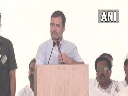 ED and such agencies do not affect me, Congress can't be suppressed: Rahul Gandhi | ED and such agencies do not affect me, Congress can't be suppressed: Rahul Gandhi