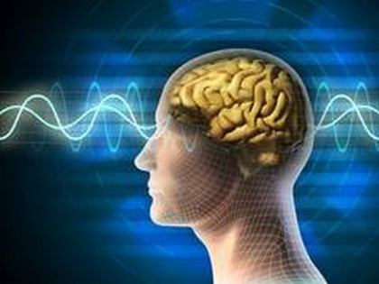 International study links brain thinning to psychosis | International study links brain thinning to psychosis