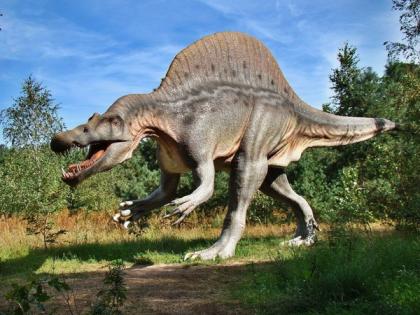 Study reveals new information about movement and evolution of dinosaurs | Study reveals new information about movement and evolution of dinosaurs