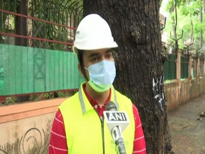 Mumbai appoints tree surgeon to protect vulnerable trees from falling | Mumbai appoints tree surgeon to protect vulnerable trees from falling