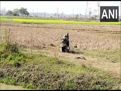 West Bengal: Six bombs recovered in Murshidabad, one held | West Bengal: Six bombs recovered in Murshidabad, one held