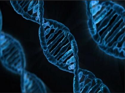 New genetic study of heart defects, autism discovers new causative genes | New genetic study of heart defects, autism discovers new causative genes