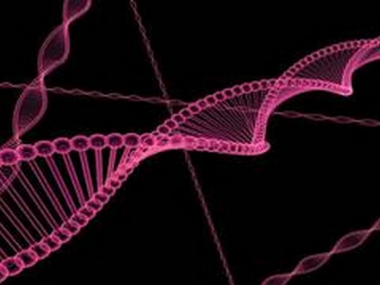 Researchers discover 3D structure responsible for regulating gene expression | Researchers discover 3D structure responsible for regulating gene expression