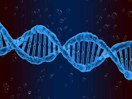 IIT Jodhpur researchers identify COVID-19 RNA variations, their implications | IIT Jodhpur researchers identify COVID-19 RNA variations, their implications