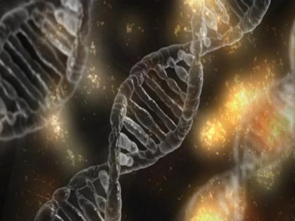Scientists develop 'valves' in DNA to shape biological information flows | Scientists develop 'valves' in DNA to shape biological information flows