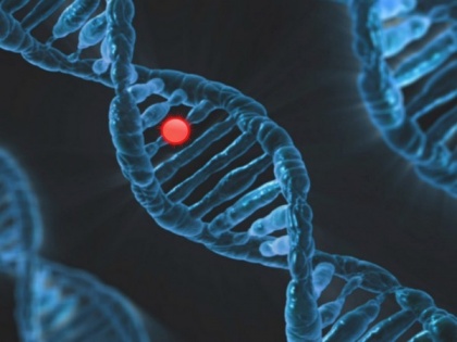 Genes linked to longer human lifespan: Study | Genes linked to longer human lifespan: Study