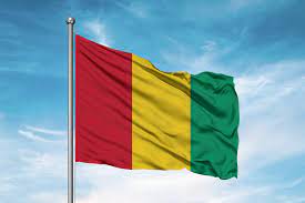Nationwide curfew declared by rebels in Guinea | Nationwide curfew declared by rebels in Guinea