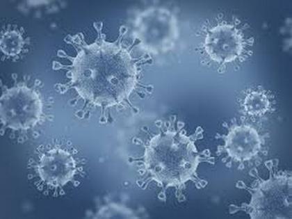 5% of COVID cases to be tested for whole genome sequencing due to new virus strain in UK: Centre | 5% of COVID cases to be tested for whole genome sequencing due to new virus strain in UK: Centre 5% of COVID cases to be tested for whole genome sequencing due to new virus strain in UK: Centre | 5% of COVID cases to be tested for whole genome sequencing due to new virus strain in UK: Centre