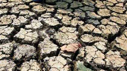 Drought hits 90,000 Sri Lankans | Drought hits 90,000 Sri Lankans Drought hits 90,000 Sri Lankans | Drought hits 90,000 Sri Lankans
