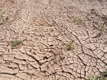 Drought conditions likely to worsen in Pak's Balochistan, Sindh due to less rainfall | Drought conditions likely to worsen in Pak's Balochistan, Sindh due to less rainfall