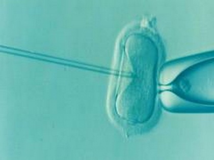 Embryos of many species use sound to prepare for the outside world, finds study | Embryos of many species use sound to prepare for the outside world, finds study