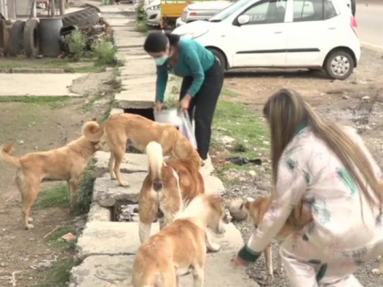 Two girls from J-K's Udhampur feed stray dogs amid lockdown | Two girls from J-K's Udhampur feed stray dogs amid lockdown
