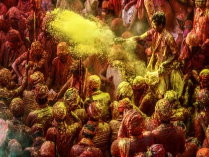 Bengaluru officials urge people not to apply colours on animals on Holi | Bengaluru officials urge people not to apply colours on animals on Holi