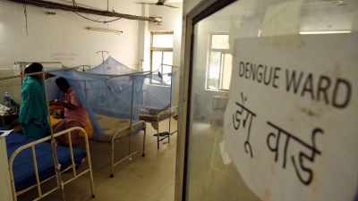 61 dengue cases reported from Lucknow in 4 days | 61 dengue cases reported from Lucknow in 4 days