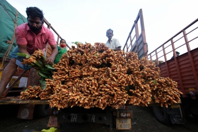 Erode's turmeric farmers to go digital with e-NAM for better price realisation | Erode's turmeric farmers to go digital with e-NAM for better price realisation Erode's turmeric farmers to go digital with e-NAM for better price realisation | Erode's turmeric farmers to go digital with e-NAM for better price realisation