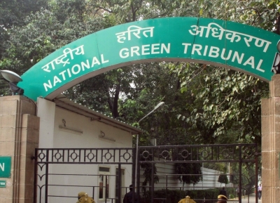 NGT halts concretization of all roadsides in Noida, Greater Noida | NGT halts concretization of all roadsides in Noida, Greater Noida