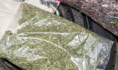 Delhi: Drug peddler held, over 12 kgs of cannabis recovered | Delhi: Drug peddler held, over 12 kgs of cannabis recovered