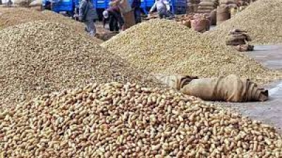 National mission on edible oils approved with Rs 10,103 crore outlay | National mission on edible oils approved with Rs 10,103 crore outlay National mission on edible oils approved with Rs 10,103 crore outlay | National mission on edible oils approved with Rs 10,103 crore outlay