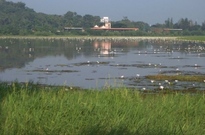 Goa's biggest lake to get new lease of life | Goa's biggest lake to get new lease of life Goa's biggest lake to get new lease of life | Goa's biggest lake to get new lease of life