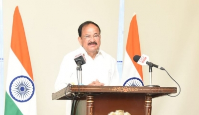 Attack on press freedom detrimental to national interests: VP | Attack on press freedom detrimental to national interests: VP