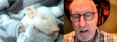 'Succession' Star James Cromwell rescues a piglet from going to slaughterhouse | 'Succession' Star James Cromwell rescues a piglet from going to slaughterhouse