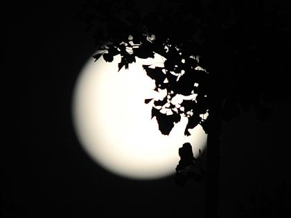 NASA's Artemis missions will establish first long-term human presence on lunar surface | NASA's Artemis missions will establish first long-term human presence on lunar surface NASA's Artemis missions will establish first long-term human presence on lunar surface | NASA's Artemis missions will establish first long-term human presence on lunar surface