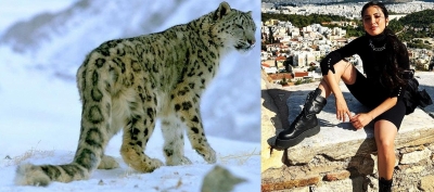 Shruti Haasan shines a light on snow leopards | Shruti Haasan shines a light on snow leopards