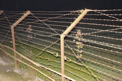 Two suspected B'deshi cattle smugglers killed in BSF firing | Two suspected B'deshi cattle smugglers killed in BSF firing