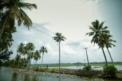 Unfazed by coronavirus fears, Kerala beckons tourists | Unfazed by coronavirus fears, Kerala beckons tourists Unfazed by coronavirus fears, Kerala beckons tourists | Unfazed by coronavirus fears, Kerala beckons tourists